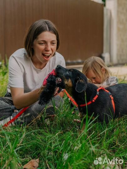 Дейла — спасённый щенок в добрые руки