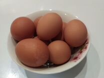 Домашние куриные яйца с доставкой