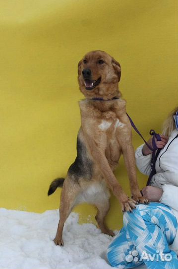 Баффи предали и отдали в приют