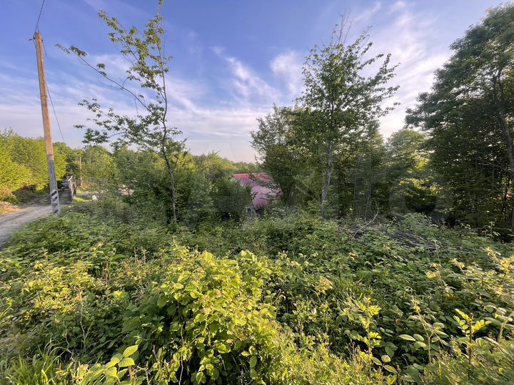 Участок 5 сот. (СНТ, ДНП)