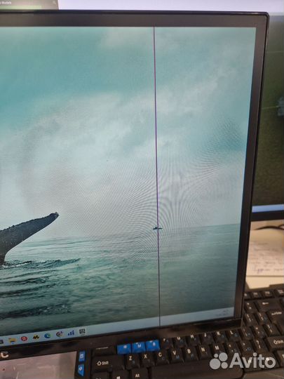 Монитор лос 24