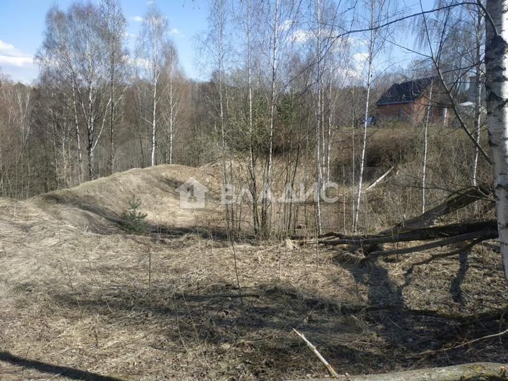 Участок 10 сот. (ИЖС)