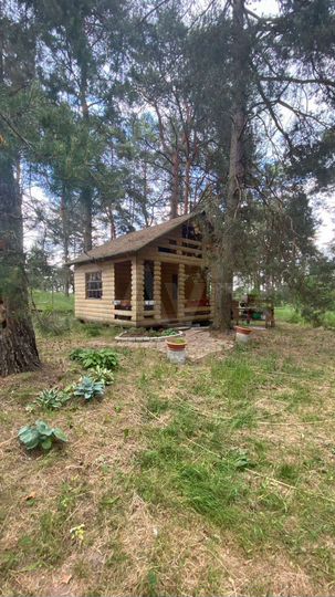 Дача 25 м² на участке 40 сот.