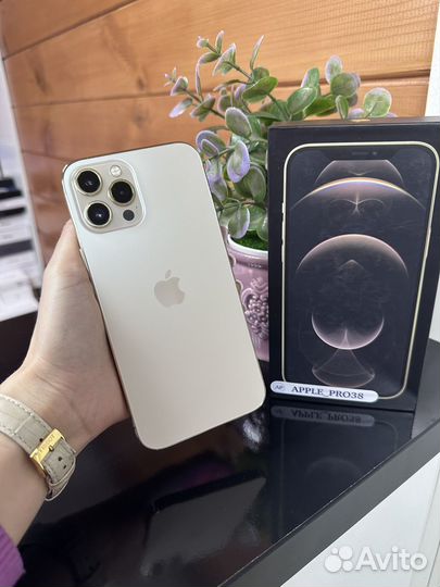 iPhone 12 Pro Max, 256 ГБ