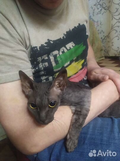 Девочка ищет жениха