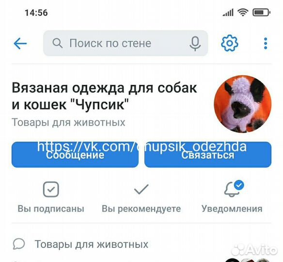 Вязаная одежда для собак