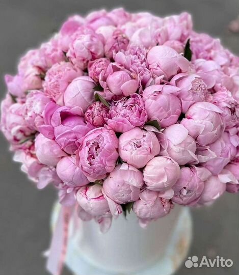 Пионы Букет