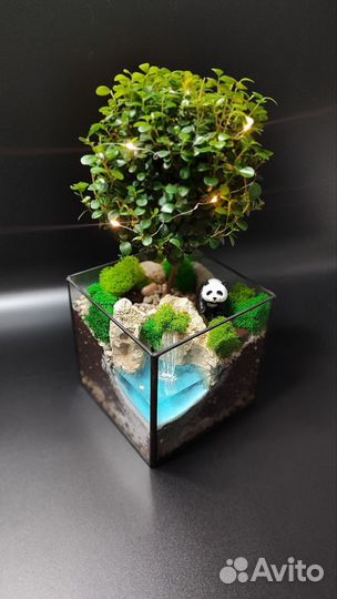 Флорариум подарок для девушки