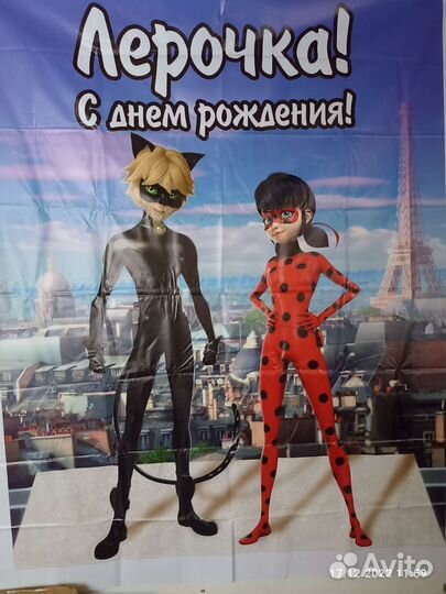 Банер в стиле Леди Баг