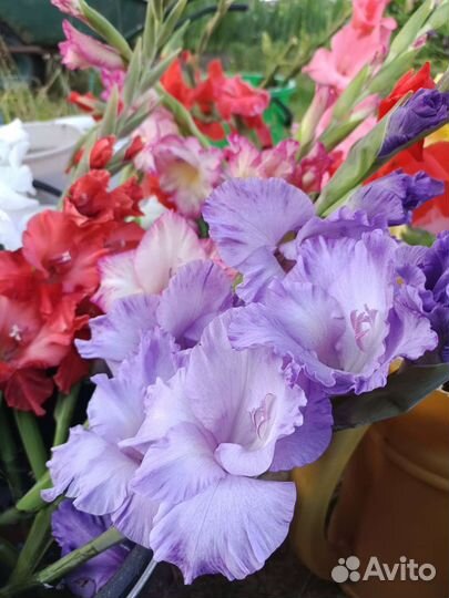 Букет цветов