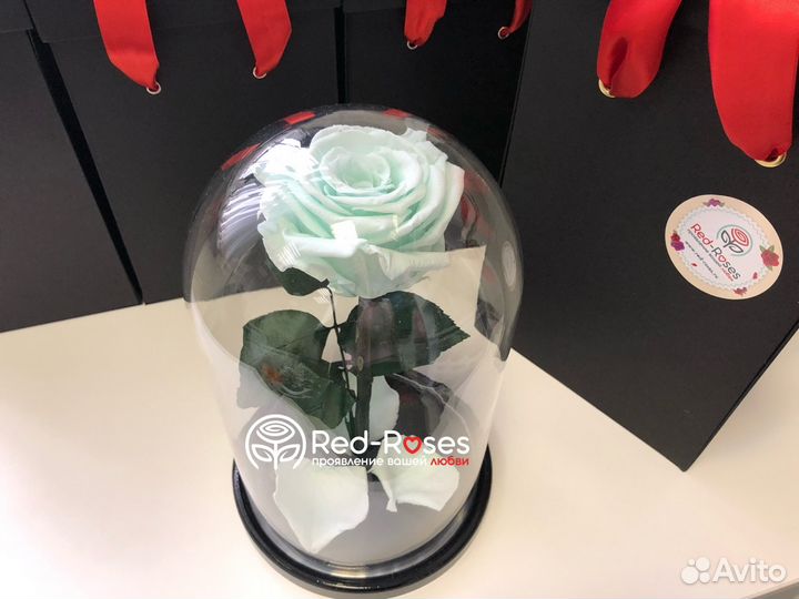 Роза в колбе Кинг Сайз