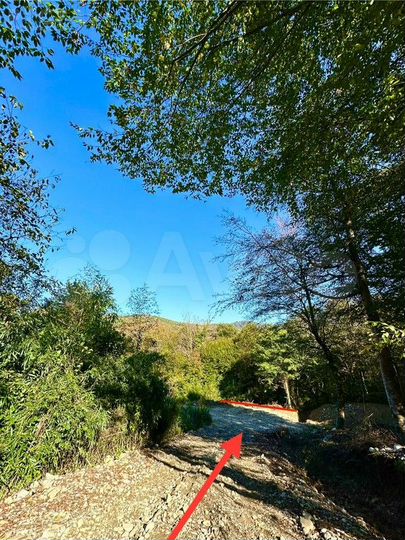 Участок 5,3 сот. (СНТ, ДНП)