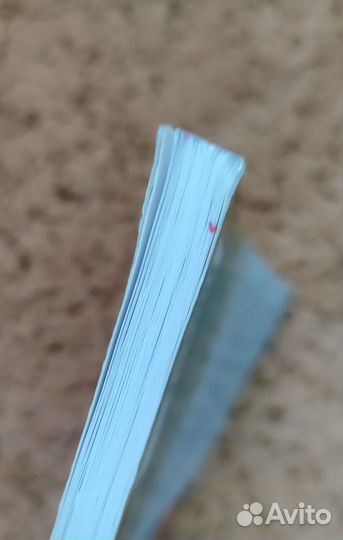 Вокруг света за 80 дней