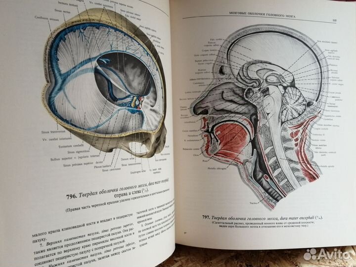 Атлас анатомии человека синельников 1974