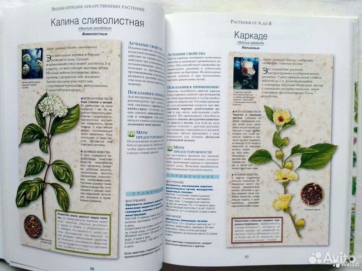 Энциклопедия лекарственных растений. Прага. А.Ю. Н