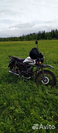 Комета кросс 2