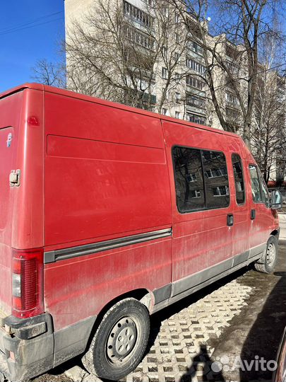 Грузопассажирские перевозки Fiat Dukato
