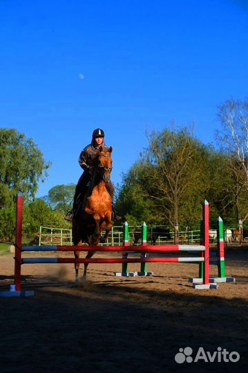 Занятия конным спортом