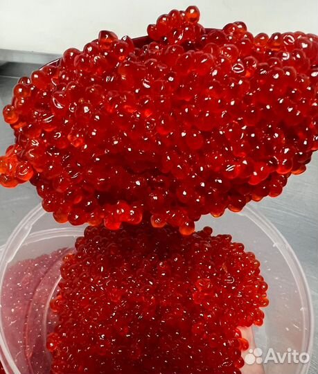 Икра красная июль 2023 года