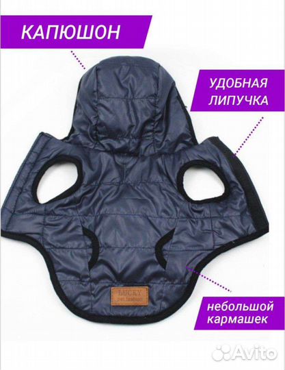 Новый жилет для собаки