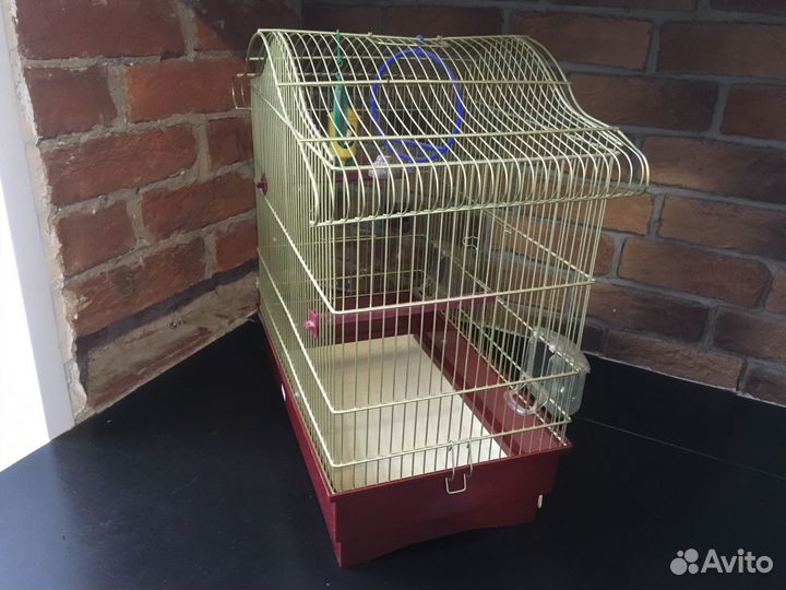 Клетка iMac Serena