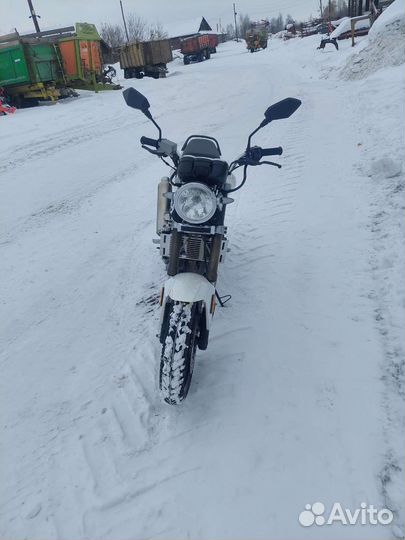 Patron Taker 250 Патрон Такер 250