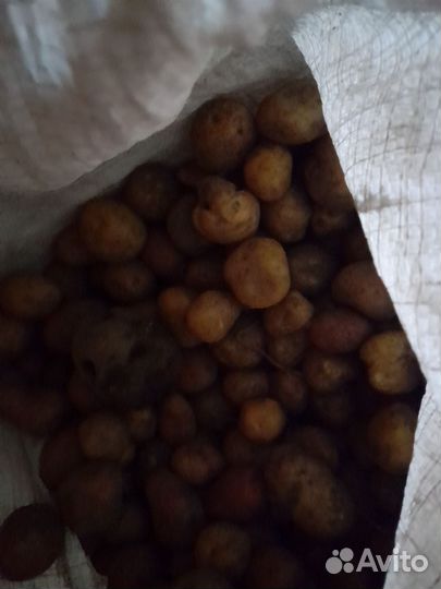 Картофель мелочь