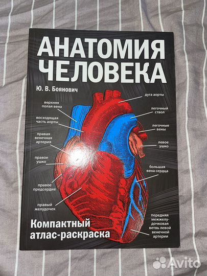 Анатомия человека. Г.Л.Билич. Зигалова. Боянович