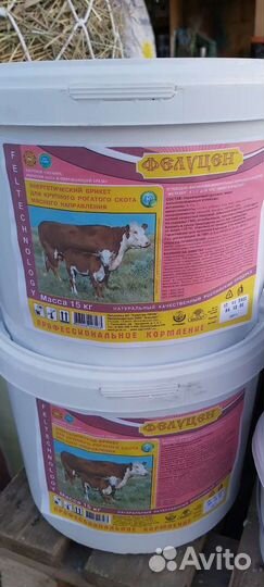 Брикеты для крс, телят, коз, козлят