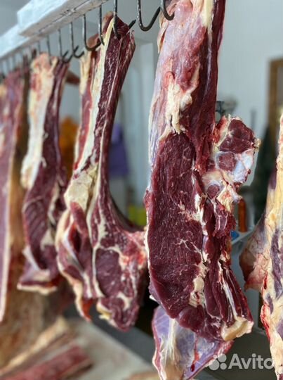 Мясо Оптом и в розницу