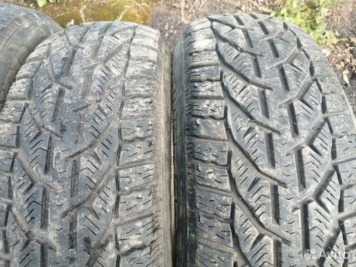 Tigar Winter 185/65 R15