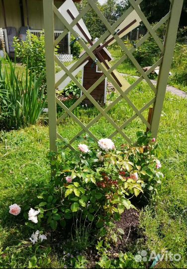Решетка шпалера опора для роз