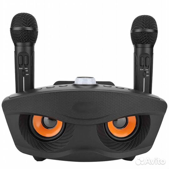 Беспроводная караоке система sdrd SD-306