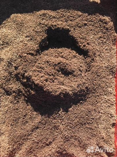 Биогумус (вермикомпост)