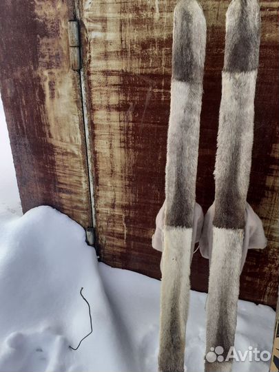 Лыжи на камусе