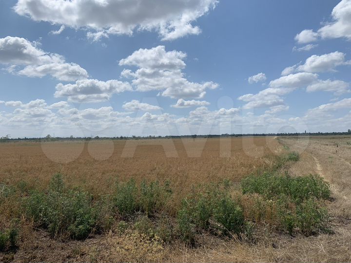 Участок 4 га (СНТ, ДНП)