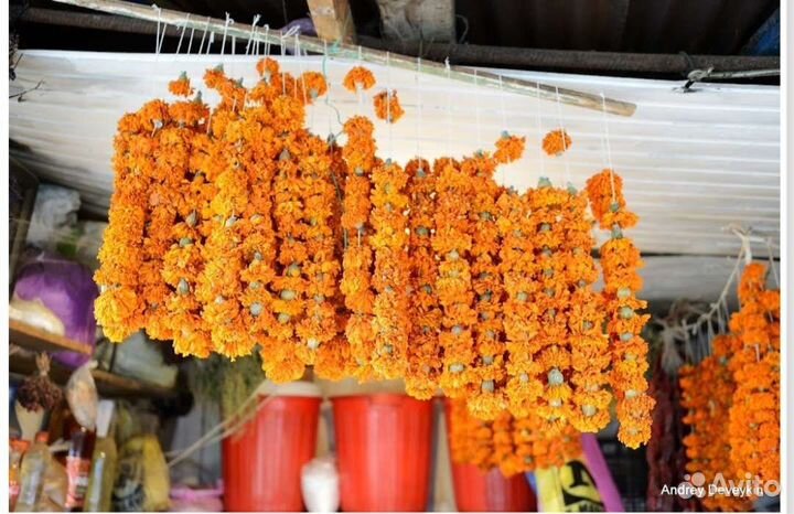 Специи и приправы грузинские в розницу