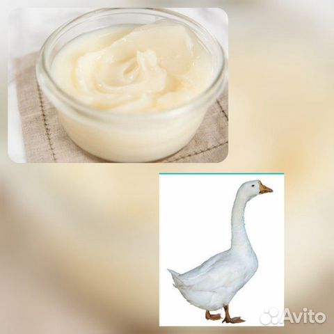 Можно ли гусиным жиром. Гусиное масло. Гусиный жир домашний. Гусиное молоко. Гусиный жир в косметологии.