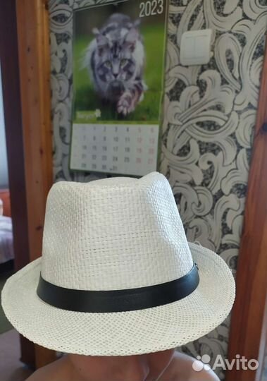Шляпа мужская летняя