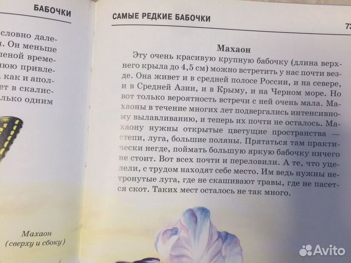 Книга бабочки