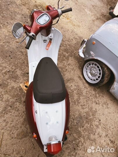 Suzuki Verde