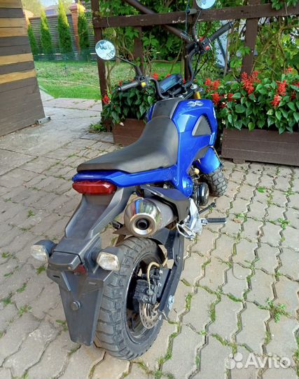 Msx 125 реплика honga grom