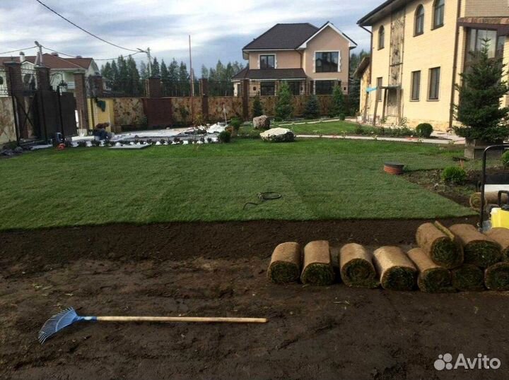 Газон рулонный с укладкой от производителя