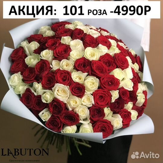 101 роза 60см доставка Цена реальная