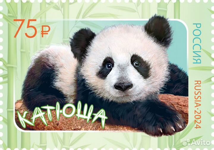 Россия, 2024. (3312) Фауна, панда 