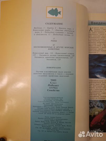 Египет история и цивилизация Красное море