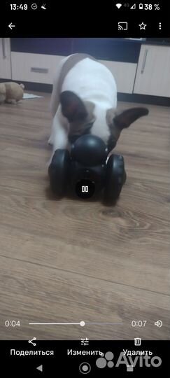 Интерактивная игрушка для собак и кошек