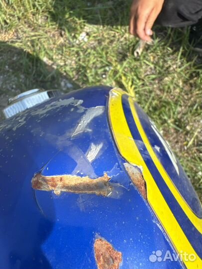 Бак от альфы