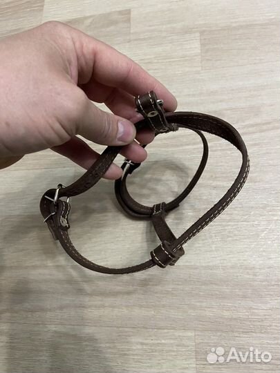 Шлейка для собаки