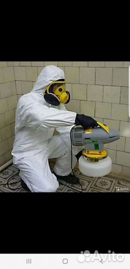 Дезинфекция от тараканов клапов